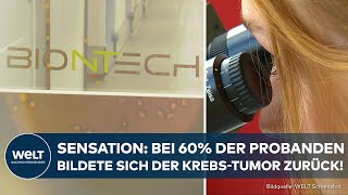 KREBSIMPFSTOFF von BioNTech Studie liefert erstaunliche Ergebnisse  Tumore wachsen nicht weiter [upl. by Sadira]