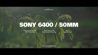 Sony A6400 Cinematic Video  Nature cinematic  50mm lens  2024 [upl. by Graniah]