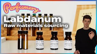 Searching for the BEST Labdanum Absolute [upl. by Idaf]