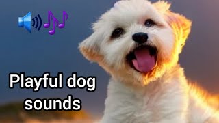 Dogs Sounds  Sounds Dogs Love  Relaxing music for dogs [upl. by Abernon]