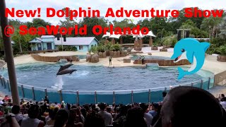 White Dolphin Show At Yokohama Hakkeijima Sea Paradise 【4K】 [upl. by Meluhs]