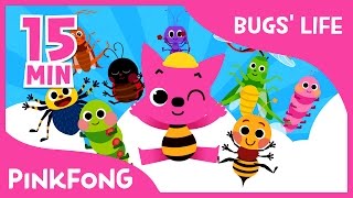 Bugs Life  Ants in My Pants and more  Compilation  Bug Songs  Pinkfong Songs for Children [upl. by Teiv]