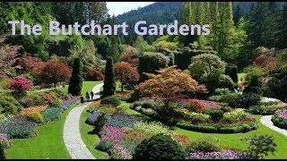 The Butchart Gardens Victoria BC [upl. by Ardeed]