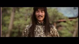 Top 10 Trad Kung Fu Fights Snake in the Eagles Shadow No8 [upl. by Cristoforo]