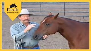 Parelli Natural Horse Training Tip Approaching a Horse in a Corral [upl. by Plante]