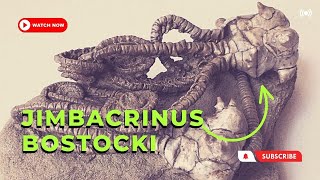 Fossil Finds Discovering the Jimbacrinus bostocki Crinoid [upl. by Tamra]