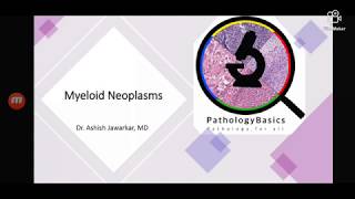 Myeloid neoplasms  AML MDS CML MPNs [upl. by Agem164]