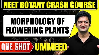 MORPHOLOGY OF FLOWERING PLANTS in 1 Shot All Concepts Tricks amp PYQs  NEET Crash Course  Ummeed [upl. by Nodnab]