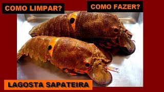 COMO FAZER LAGOSTA SAPATEIRA [upl. by Spenser]