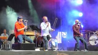 Die Fantastischen Vier  Mehr Nehmen Unplugged  live  Zurich Openair 2682012 [upl. by Nolyat]