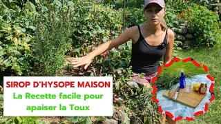 SIROP D’HYSOPE MAISON  Recette facile pour apaiser la Toux [upl. by Jezabelle]