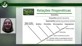 Aula 1 Fundamentos da Morfologia Vegetal mp4 [upl. by Nairde872]