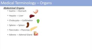 Medical Terminology  The Basics  Lesson 1 [upl. by Amaj]