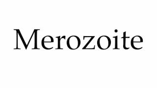 How to Pronounce Merozoite [upl. by Spear]