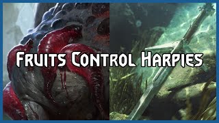 Fruits Control Harpies  Gwent Pro Rank Gameplay [upl. by Immat]