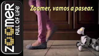 Zoomer  Comercial Zoomer en Español  TV Commercial [upl. by Bennett915]