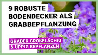 9 robuste Bodendecker für eine pflegeleichte Grabbepflanzung [upl. by Euqirrne]