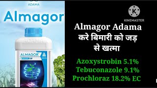 Almagor fungicide Adama agriculture Azoxystrobin 51 Tebuconazole 91Prochloraz 182 Ec [upl. by Anselme688]