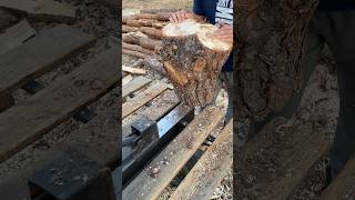 😱 Amazing wood splitting machine Extreme splitting🪓🪵 firewood logsplitter [upl. by Eneluj]