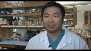 Brain Cancer Research  Glioblastoma and Glioma  UCLA Neurosurgery [upl. by Ymaj785]