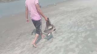 Fishing 🎣 at river 😄 Chenab Chiniot bridge point 👉 common carp fish 🐠 [upl. by Hertzfeld]