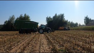 Kukurydza 2024 JD FENDT VALTRA CASE MF KUBOTA w akcji [upl. by Llertnor902]