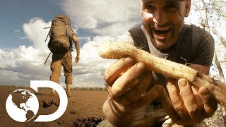 Extrae agua de una raíz de baobab  Ed Stafford al extremo  Discovery Latinoamérica [upl. by Jenine714]