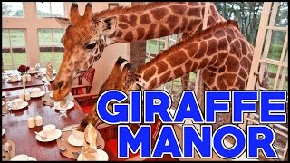 Welcome To Giraffe Manor In Nairobi Kenya Where Giraffes Peek Into Your Open Windows [upl. by Sophia]