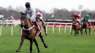 CONSTITUTION HILL lands second Christmas Hurdle in facile fashion [upl. by Jamaal]