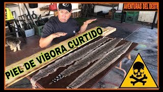 CURTIDO DE PIEL DE VÍBORA 2 [upl. by Ynos]