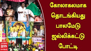 கோலாகலமாக தொடங்கியது பாலமேடு ஜல்லிக்கட்டு போட்டி  Palamedu Jallikattu  Madurai  Pongal 2024 [upl. by Sedgewake961]