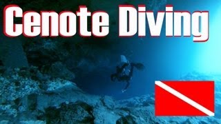 Cenote Diving HD  Riviera Maya  Mexico [upl. by Auqinaj]