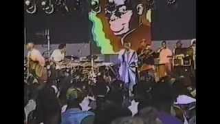 Buju Banton  Live in Nassau  Early 90s Island Life [upl. by Chiquita]