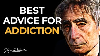 Gabor Maté Addiction In the Realm of Hungry Ghosts [upl. by Novej]