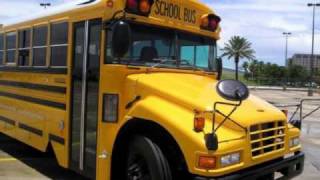 Blue Bird School Buses [upl. by Enair]