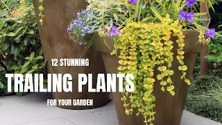 12 Stunning Trailing Plants For Your Garden [upl. by Happ]