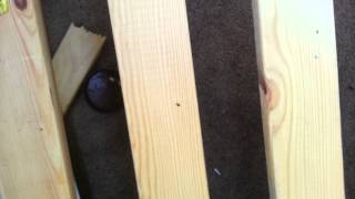 MAGIC INGREDIENT  How To Kill Bed Bugs JUST ONE MINUTE  EASY TIPS  HOME REMADY [upl. by Diandre]