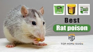 ▶️Rat Poisons Top 5 Best Rat Poisons in 2021   Buying Guide [upl. by Nhguavaj478]