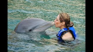 Adriana Macías Nado con Delfines  Delphinus Cancún 2012 [upl. by Oicram]