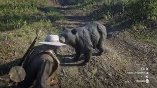 Weird behavior from this bear RDR2 GLITCHED GONE WRONG PINKERTONS CALLED [upl. by Aralomo]