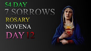 54 Day 7 Sorrows Rosary Novena w A Catholic Guy  Day 1254 [upl. by Akiv628]