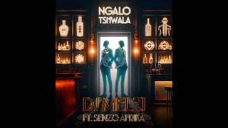 Ngalo Tshwala  Dj Melzi  Senzo Afrika [upl. by Os787]