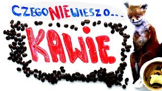 Czego nie wiesz o ☕ KAWIE ☕  iWiesz 03 [upl. by Nallek]