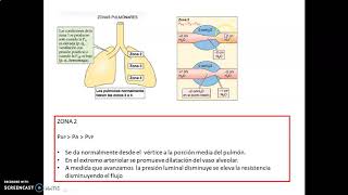 4 Perfusión pulmonar [upl. by Card789]