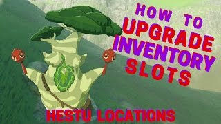 How to Upgrade Inventory Slots With Hestu inc Locations Zelda BOTW [upl. by Aserehc]