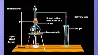 Preparation of Hydrogen Sulphide [upl. by Abner792]