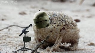 Angry Tachanka Frog [upl. by Alphard145]