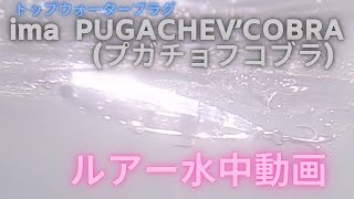 【プガチョフコブラ】水中映像 ima PUGACHEVCOBRA ルアー水中動画 [upl. by Arther]