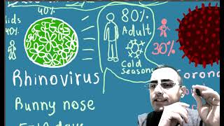 6y Can you catch the same cold twice Common cold viruses [upl. by Oringas]