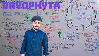 Divison Bryophyta  Life cycle of Bryophytic plant  Biology 11th  Chapter 9 Kingdom Plantae [upl. by Meghann226]